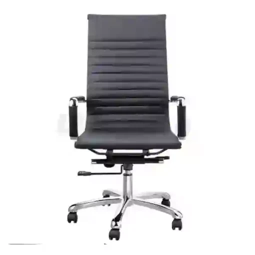 Theodore Executive Office Chair