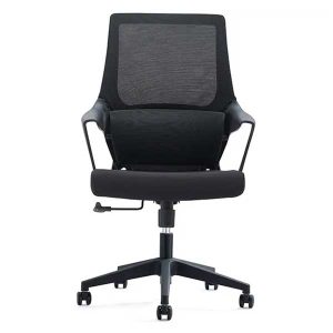 Amy Low Back Office Chair