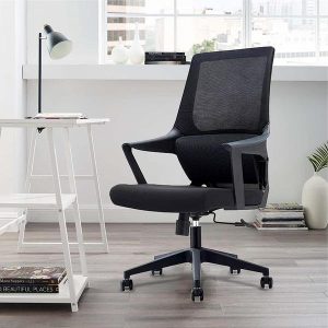Amy Low Back Office Chair