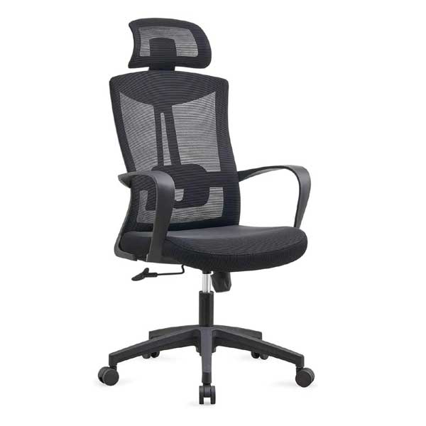 Indus Executive Chair with Spider Base