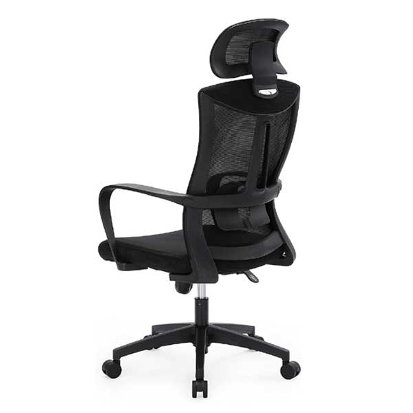 Indus Executive Chair with Spider Base