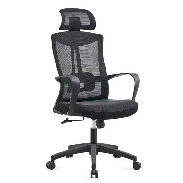 Indus Executive Chair with Spider Base with Spider Base