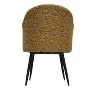 Jaxon Interior Fancy Chair