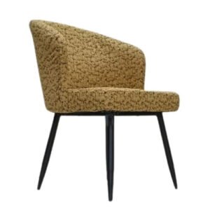 Jaxon Interior Fancy Chair