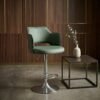 Tabby Bar Stools