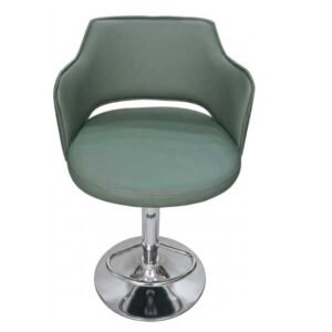 Tabby Bar Stools - Image 3
