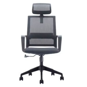 Apple High-Back Computer Office Chair