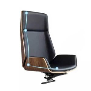 Alternative view of Bentwood CEO Chair