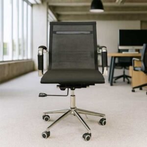 David-EB Low Back Computer Chair