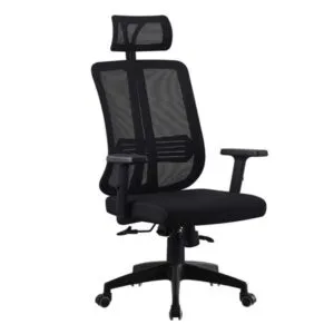Indus Executive Chair with Spider Base