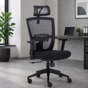 Louie Computer Office Chair