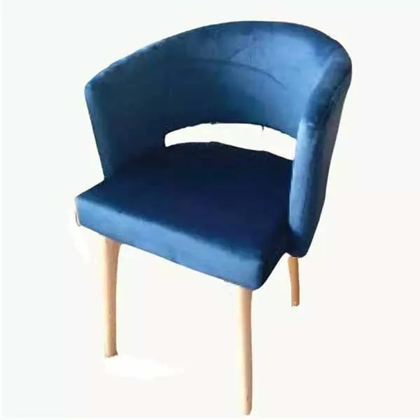 Willow Interior Fancy Chair