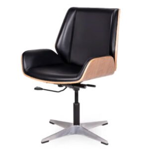 Bentwood Visitor Chair