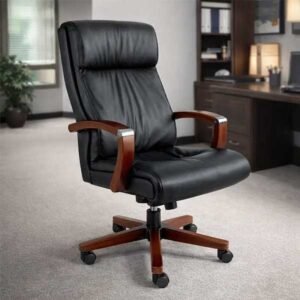 Nova CEO Chair