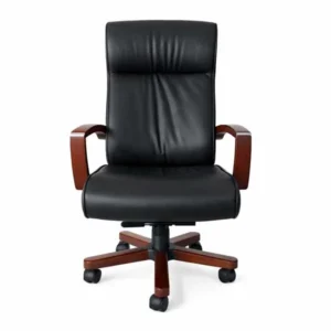 Alternative view of Nova CEO Chair