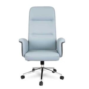 Alternative view of Tulip CEO Chair