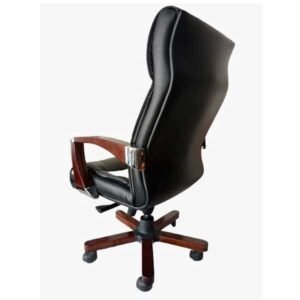 Alternative view of Nova CEO Chair