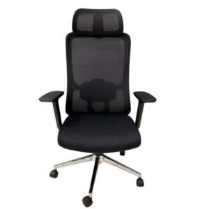 Orvix Ergonomic High Back Chair