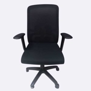 Cloud Flex Mesh Low-Back Chair - Chair.com.pk