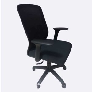 Cloud Flex Mesh Low-Back Chair - chair.com.pk